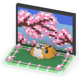早紅夜 + 三味線 + ステージセット - ミタクルブロック公式オンラインストア